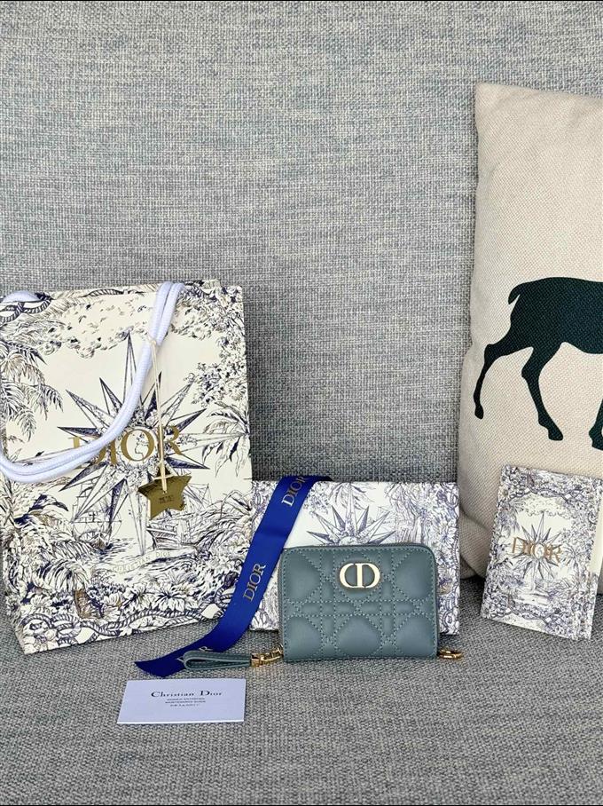 2025228Y270P182135774