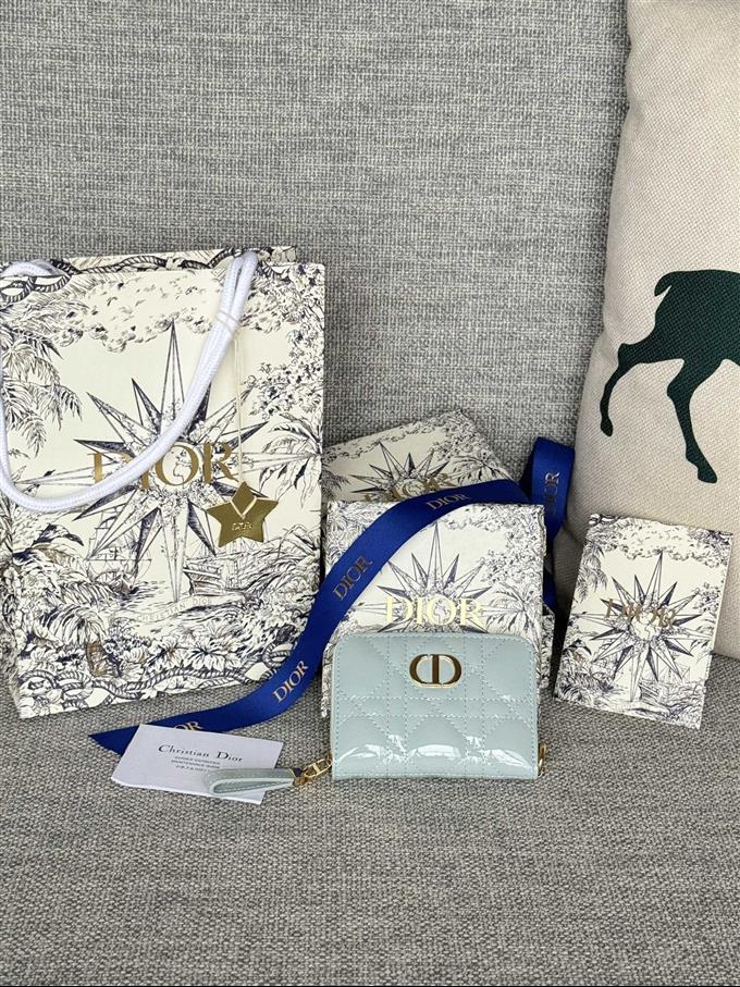 2025228Y270P18213656