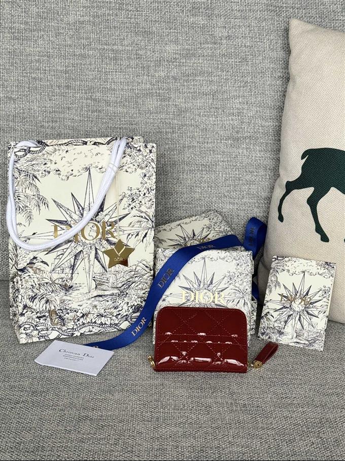 2025228Y270P182137101