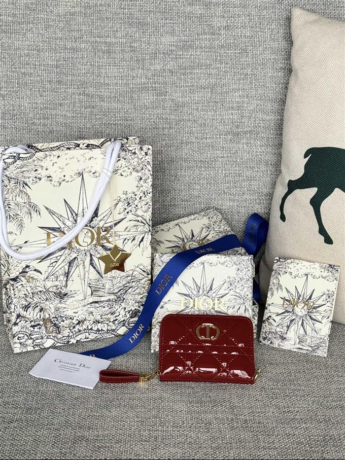 2025228Y270P18213785