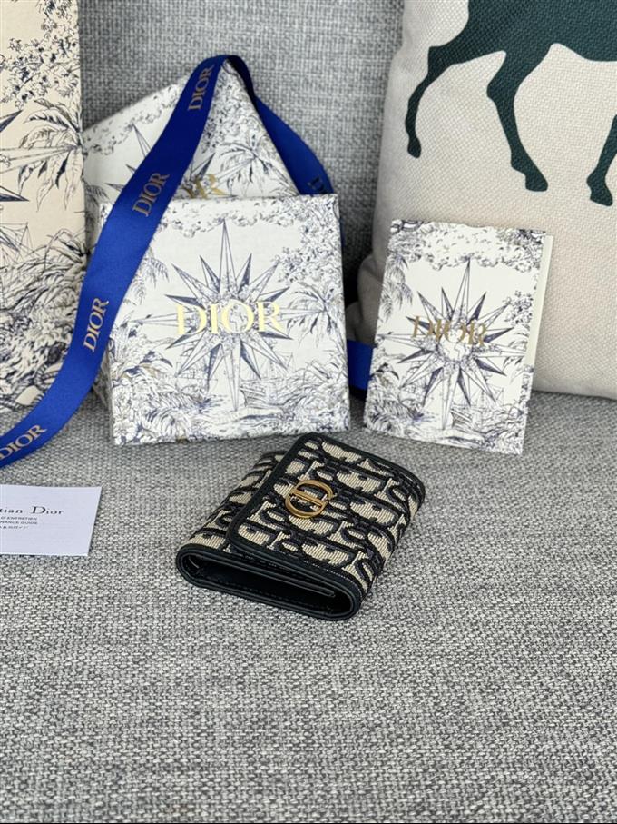 2025228Y280P182137561