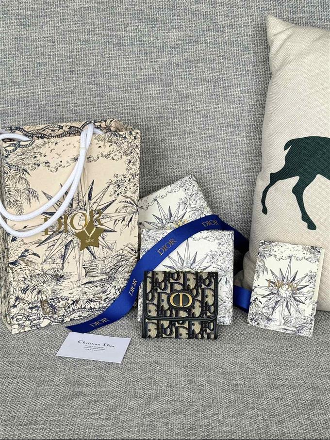 2025228Y280P182137800