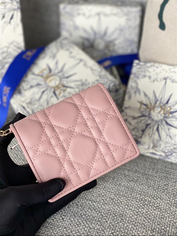 2025228Y310P203710128