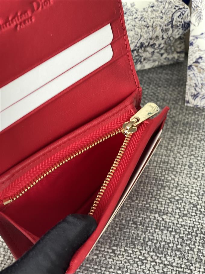 2025228Y310P20371019