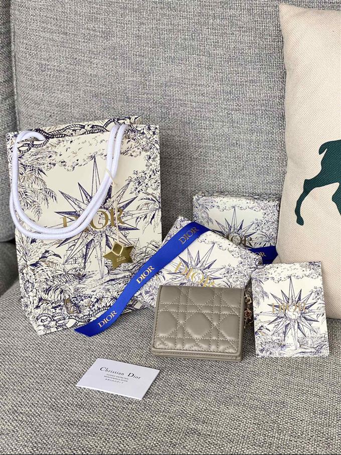 2025228Y310P203710223