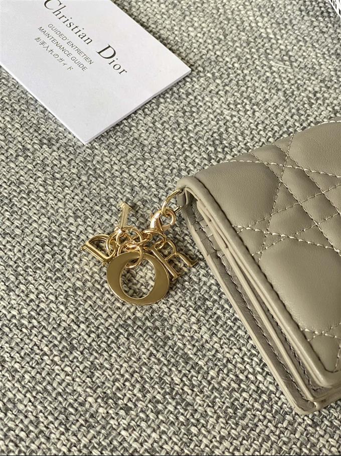 2025228Y310P203710254