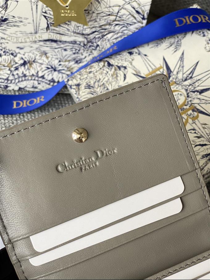 2025228Y310P203710301