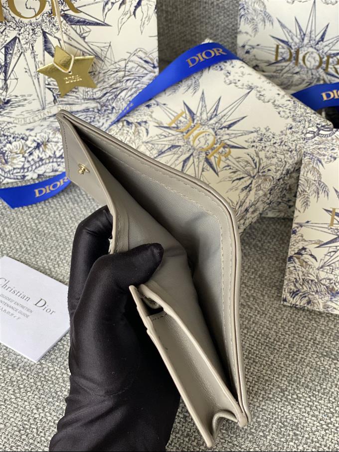 2025228Y310P203710331