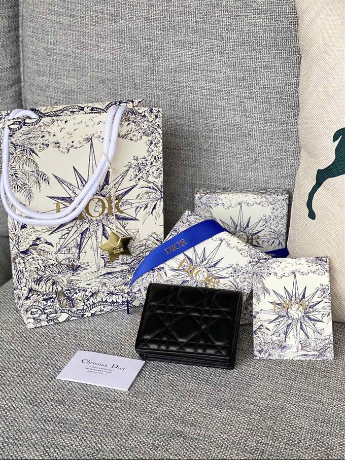 2025228Y310P203710346