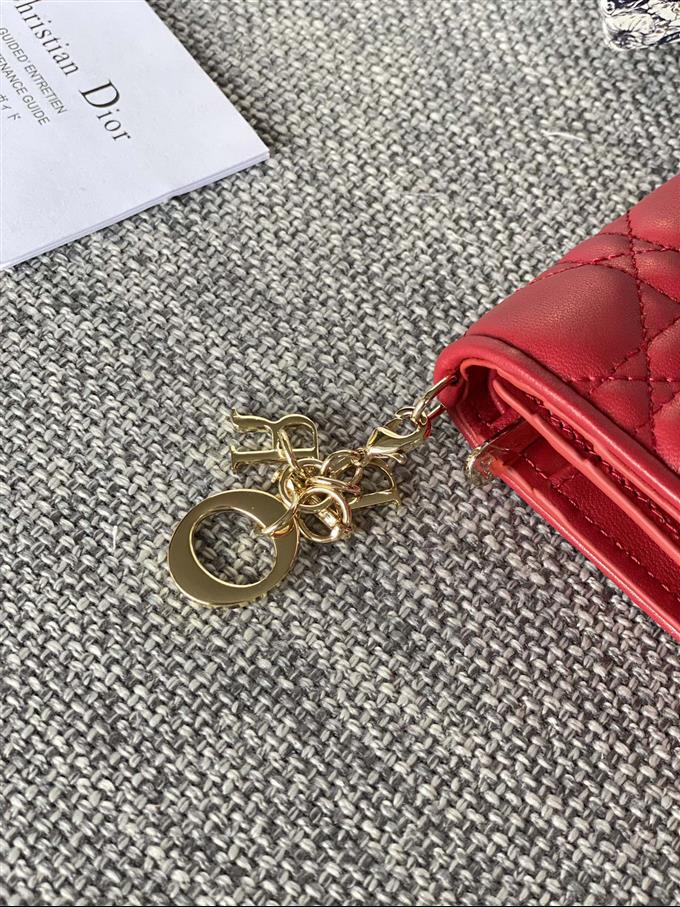 2025228Y310P20371050