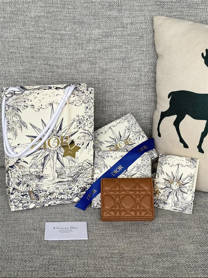 2025228Y310P20379515