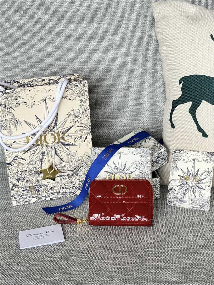 2025228Y330P203711341