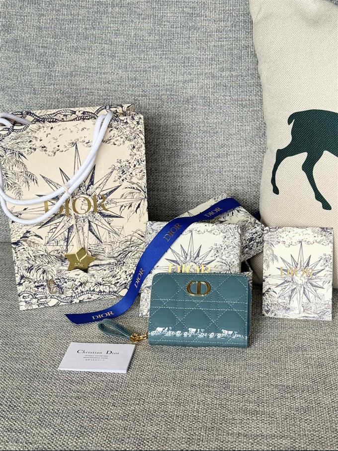 2025228Y330P203711481