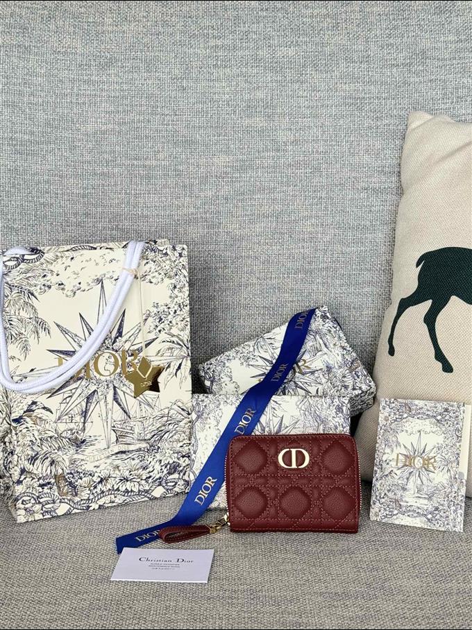 2025228Y330P203711905