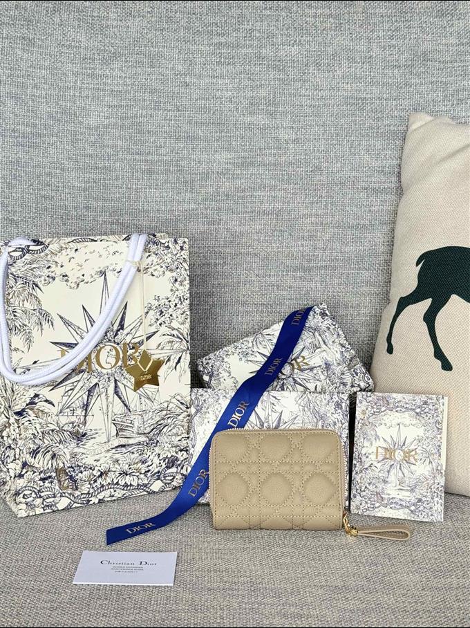 2025228Y330P20371261