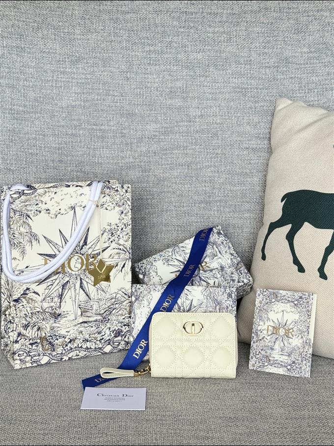 2025228Y330P203712755