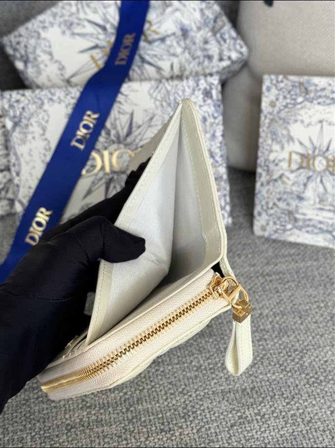 2025228Y330P203712866