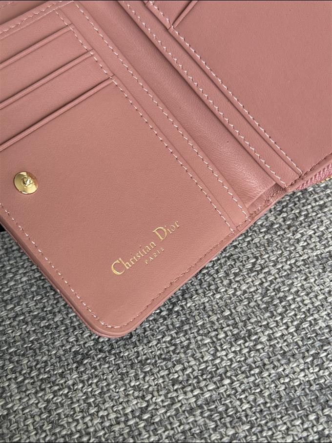 2025228Y330P203713137