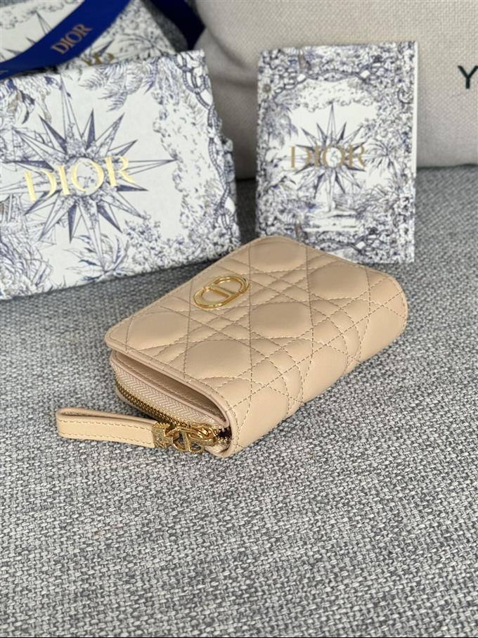 2025228Y330P203713534