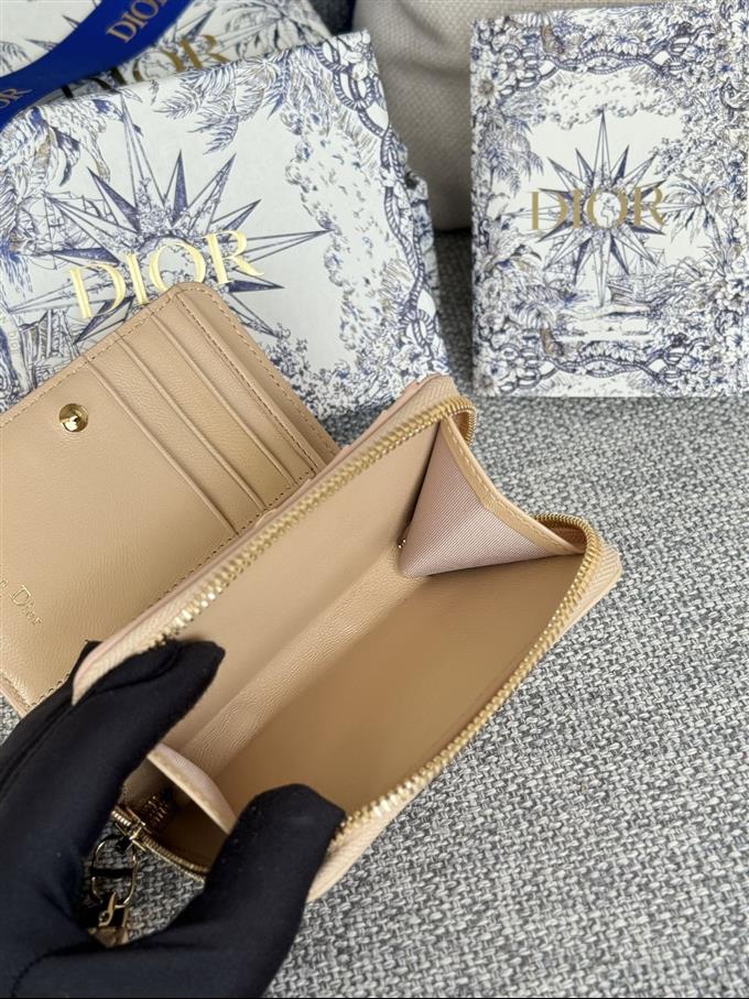 2025228Y330P203713596