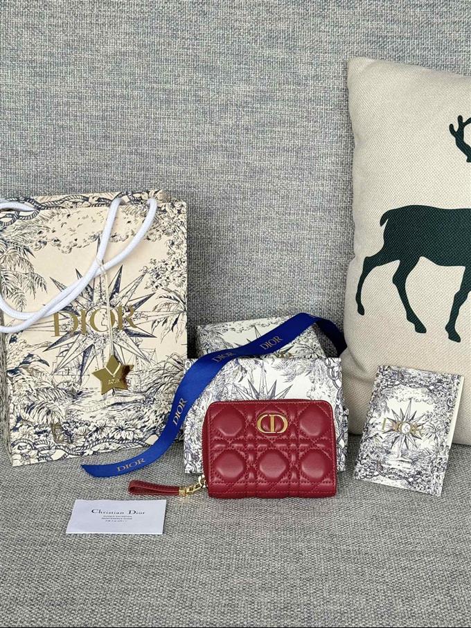 2025228Y330P203713627