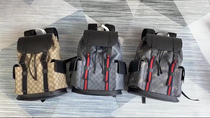 202529C495563N164019329