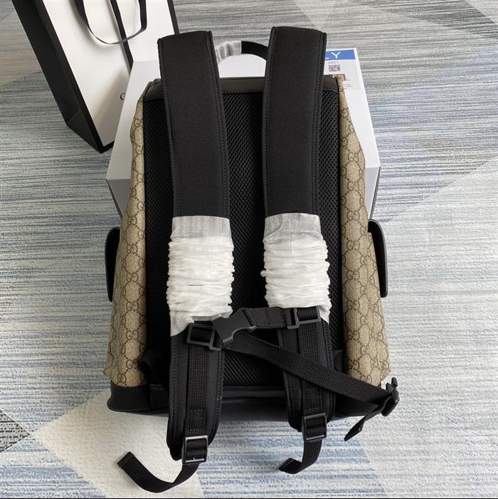 202529C495563N164019356