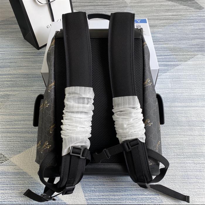 202529C495563N164019496