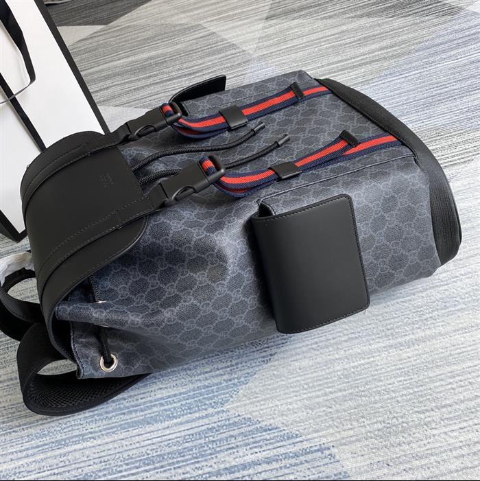 202529C495563N164019684