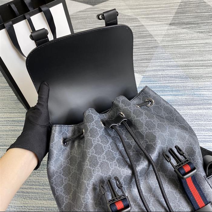 202529C495563N164019716