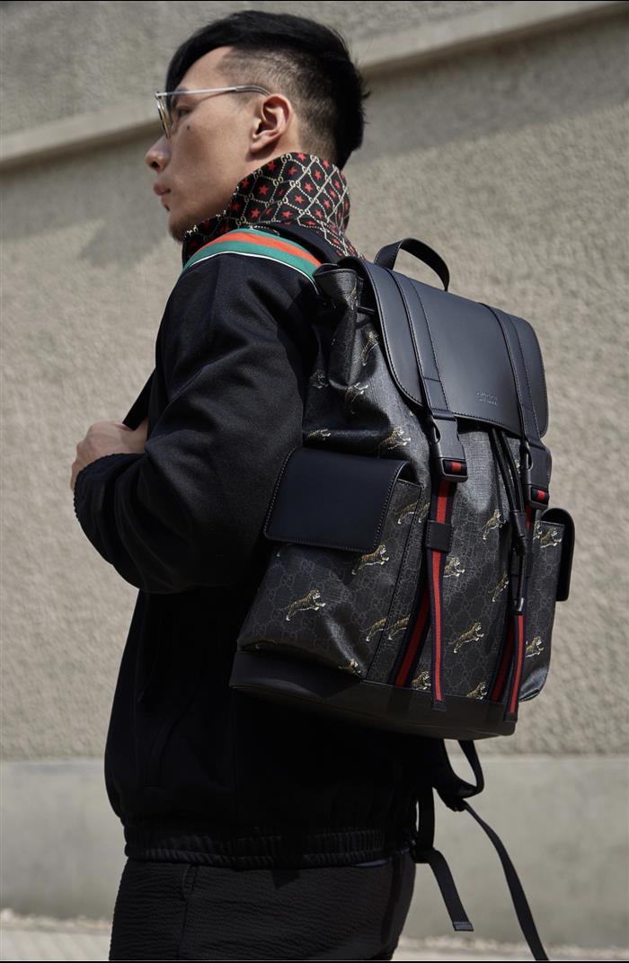 202529C495563N164019780