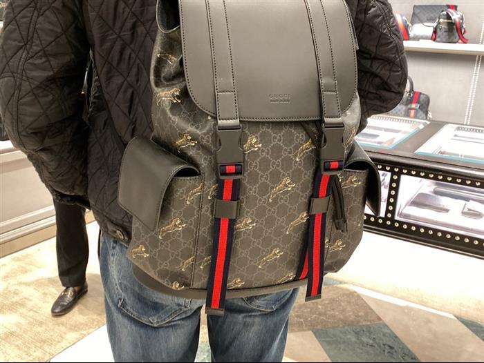 202529C495563N164019875