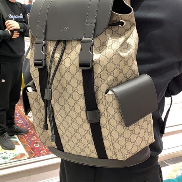 202529C495563N164019891