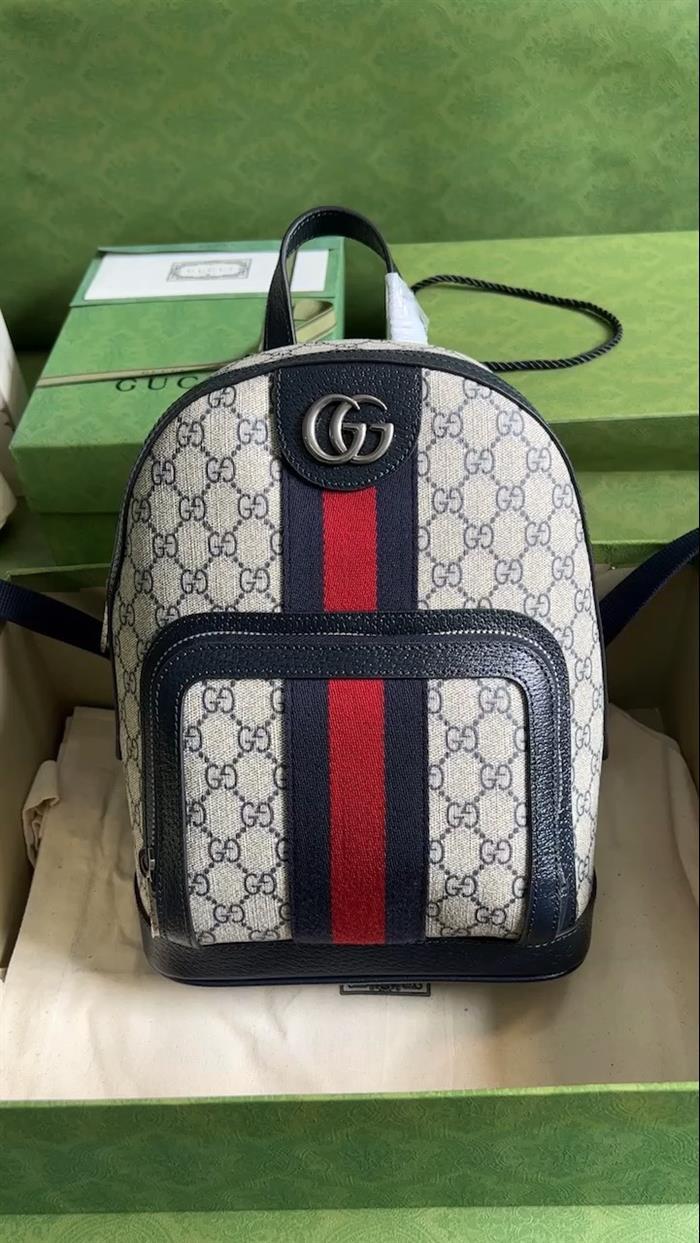 202529C547965N164019984