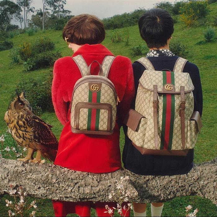 202529C547965N164020269