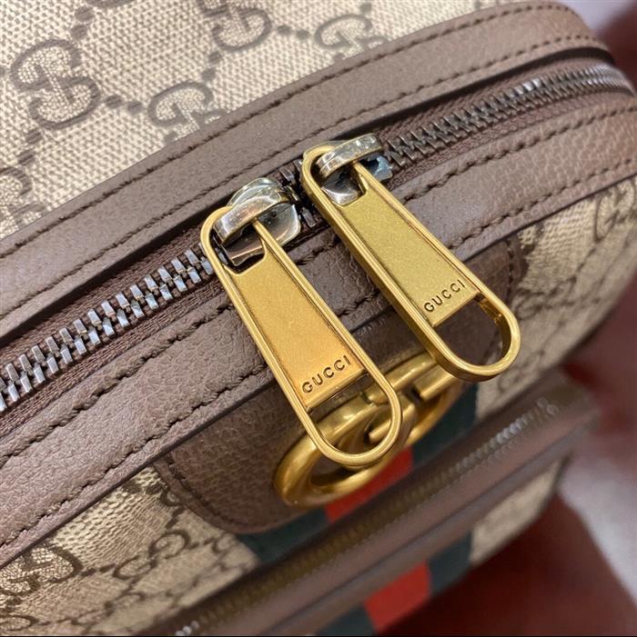 202529C547965N164020347