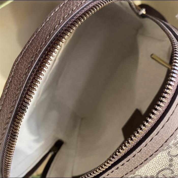 202529C547965N164020395