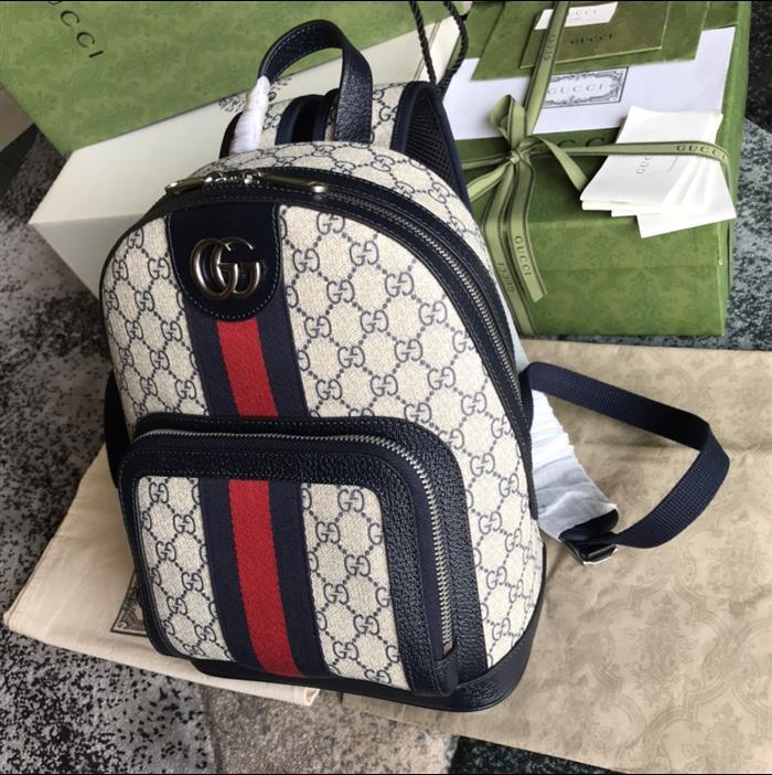 202529C547965N164020614