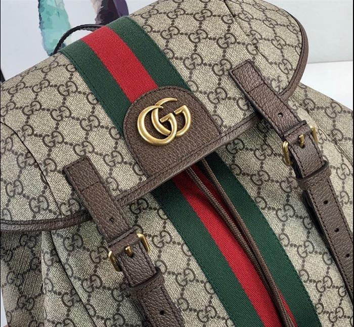 202529C598140N164034836