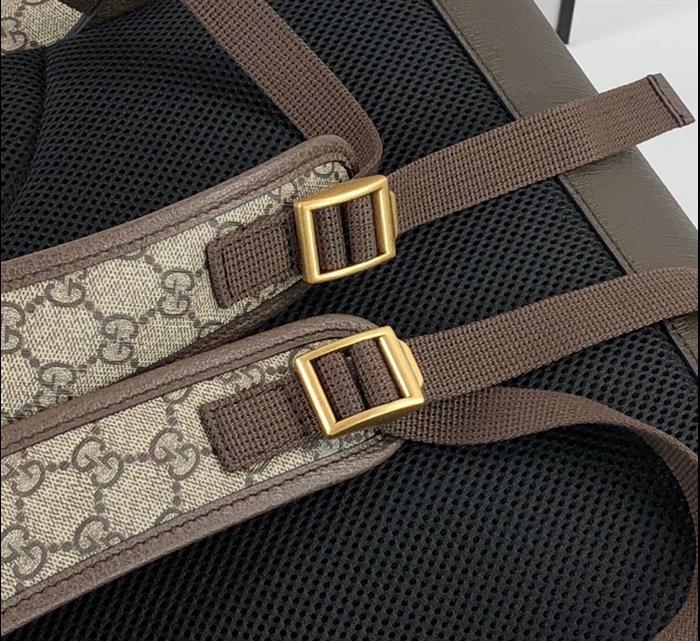 202529C598140N164034884