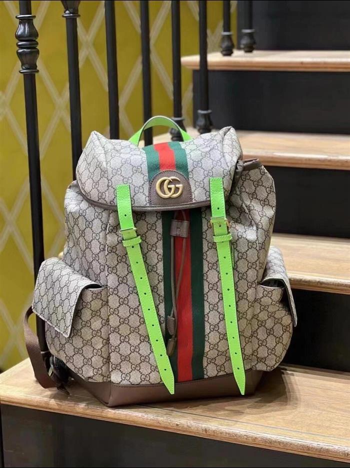 202529C598140N164035561