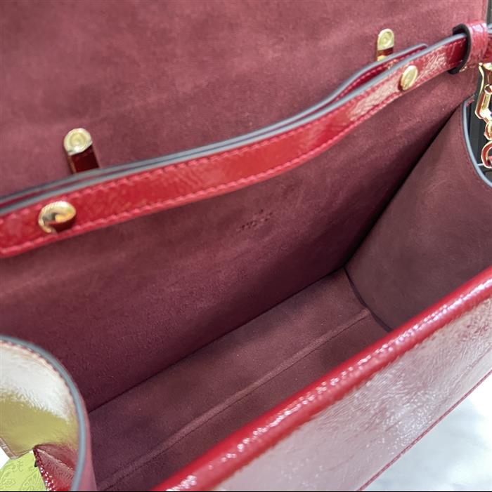 2025210C795007N20198899