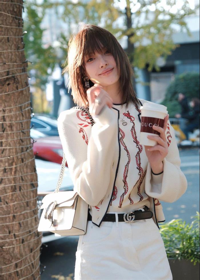 202529C499623N164047434