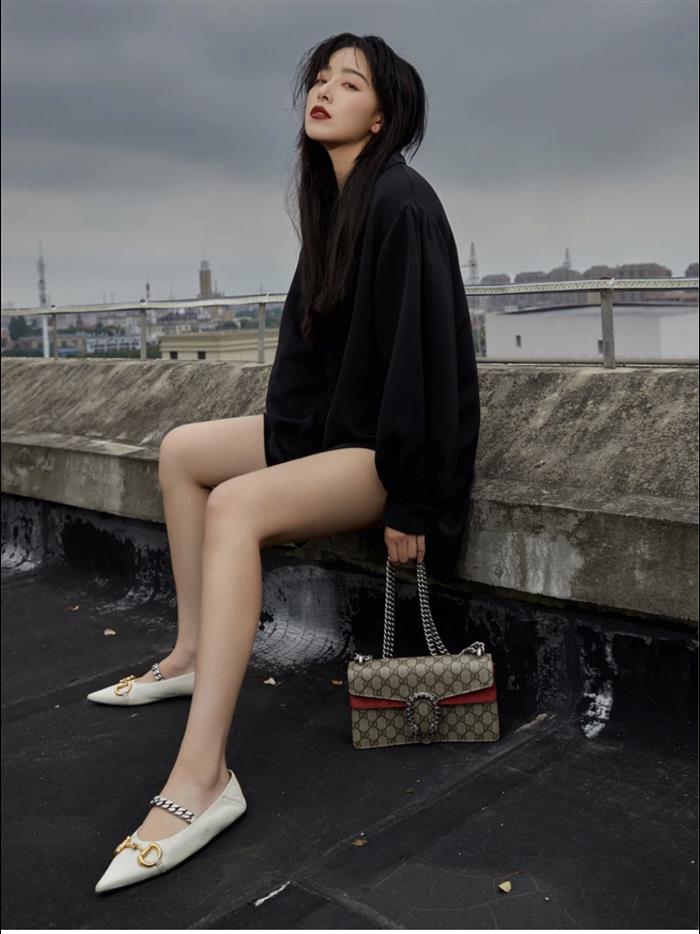 202529C499623N164043629