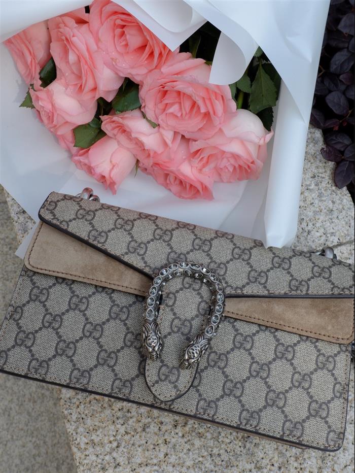 202529C499623N164044260