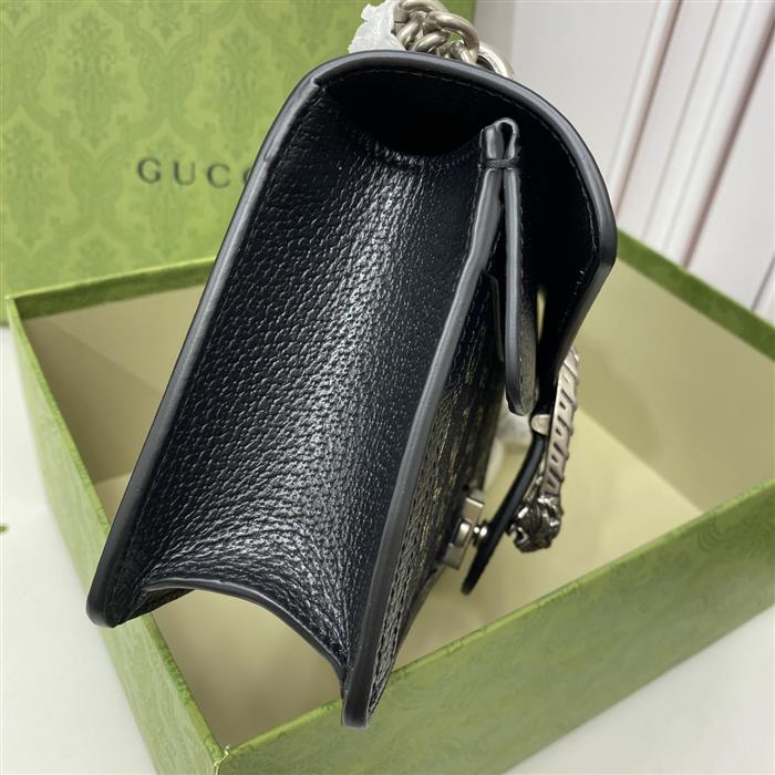 202529C499623N164044307