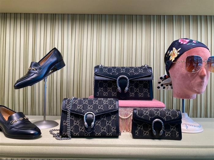 202529C499623N16404524