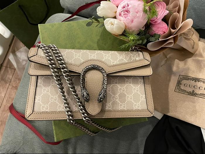 202529C499623N164045278