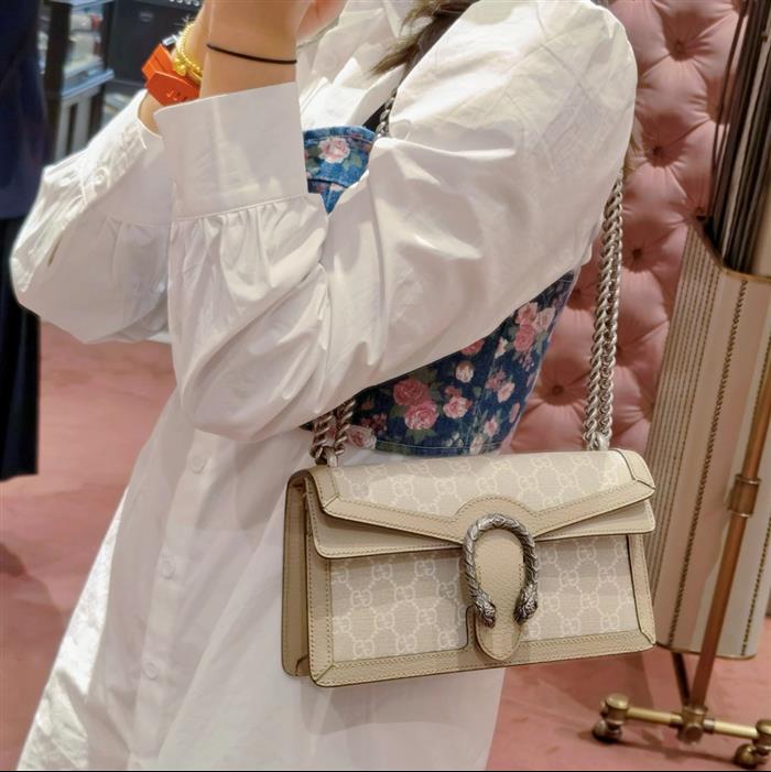 202529C499623N164045309