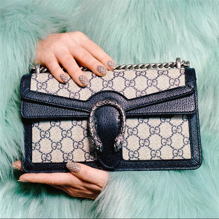 202529C499623N164045357